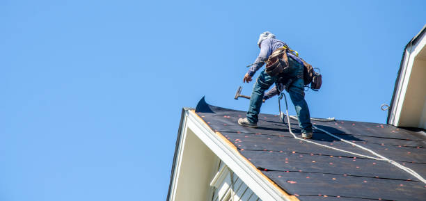Best Storm Damage Roof Repair  in Bayonne, NJ